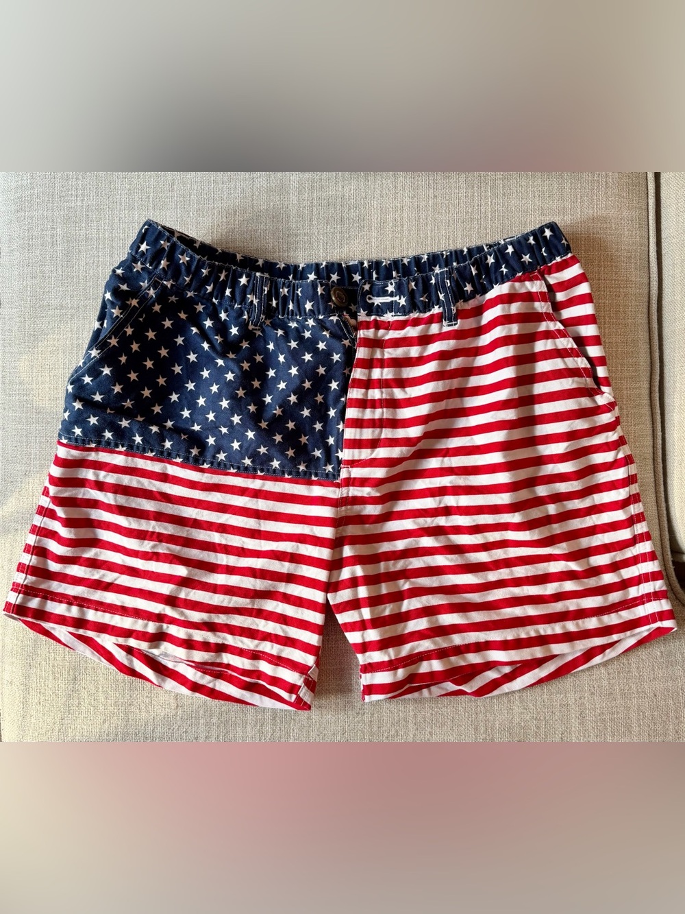 CHUBBIES The 'Mericas Originals Stretch Short